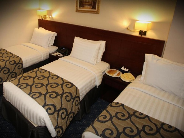 Al Aqeeq Al Rawda Hotel by Sedra International image 11